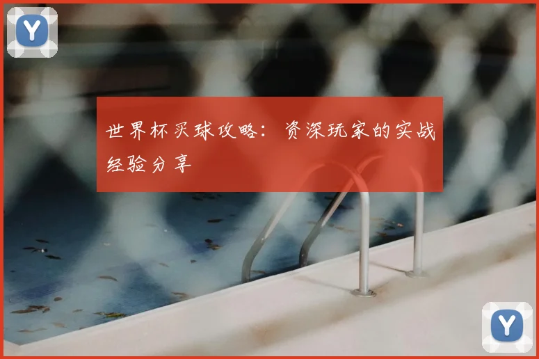 世界杯买球攻略：资深玩家的实战经验分享