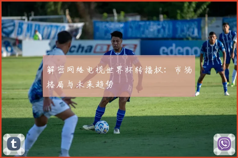 解密网络电视世界杯转播权：市场格局与未来趋势