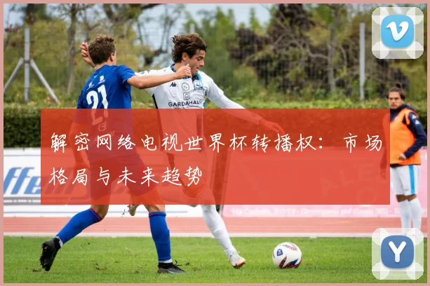 解密网络电视世界杯转播权:市场格局与未来趋势