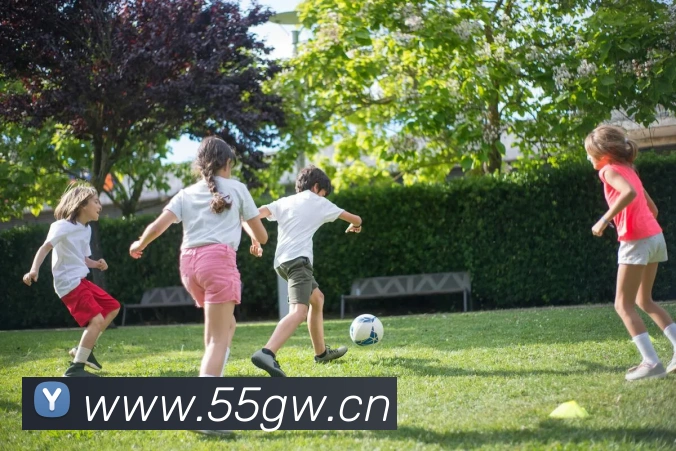 九游j9官网首页入口APP 封面图